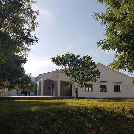 Apartments Andrea II Baška Zewnętrze zdjęcie